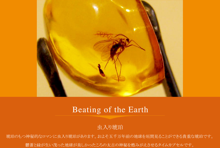 Beating of the Earth
虫入り琥珀
琥珀の持つ神秘的なロマンに虫入り琥珀があります。およそ五千万年前の地球を垣間見ることができる貴重な琥珀です。
鬱蒼と緑が生い茂った地球が美しかったころの太古の神秘を甦えさせるタイムカプセルです。